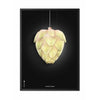  Ph Artichoke Poster Frame In Black Lacquered Wood 70x100 Cm Black Background