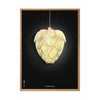  Ph Artichoke Poster Frame Made Of Light Wood 70x100 Cm Black Background