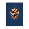  Pine Cone Classic Poster Frame In Black Lacquered Wood 50x70 Cm Dark Blue Background