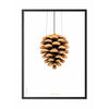  Pine Cone Classic Poster Frame In Black Lacquered Wood 50x70 Cm White Background