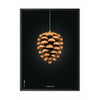  Pine Cone Classic Poster Frame Made Of Black Lacquered Wood 70x100 Cm Black Background