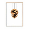  Pine Cone Classic Poster Frame Made Of Light Wood 30x40 Cm White Background