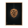  Pine Cone Classic Poster Frame Made Of Light Wood 50x70 Cm Black Background