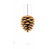  Pine Cone Classic Poster Without Frame 30x40 Cm White Background