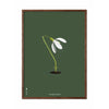 Brainchild Snowdrop Classic Poster, Dark Wood Frame A5, Green Background