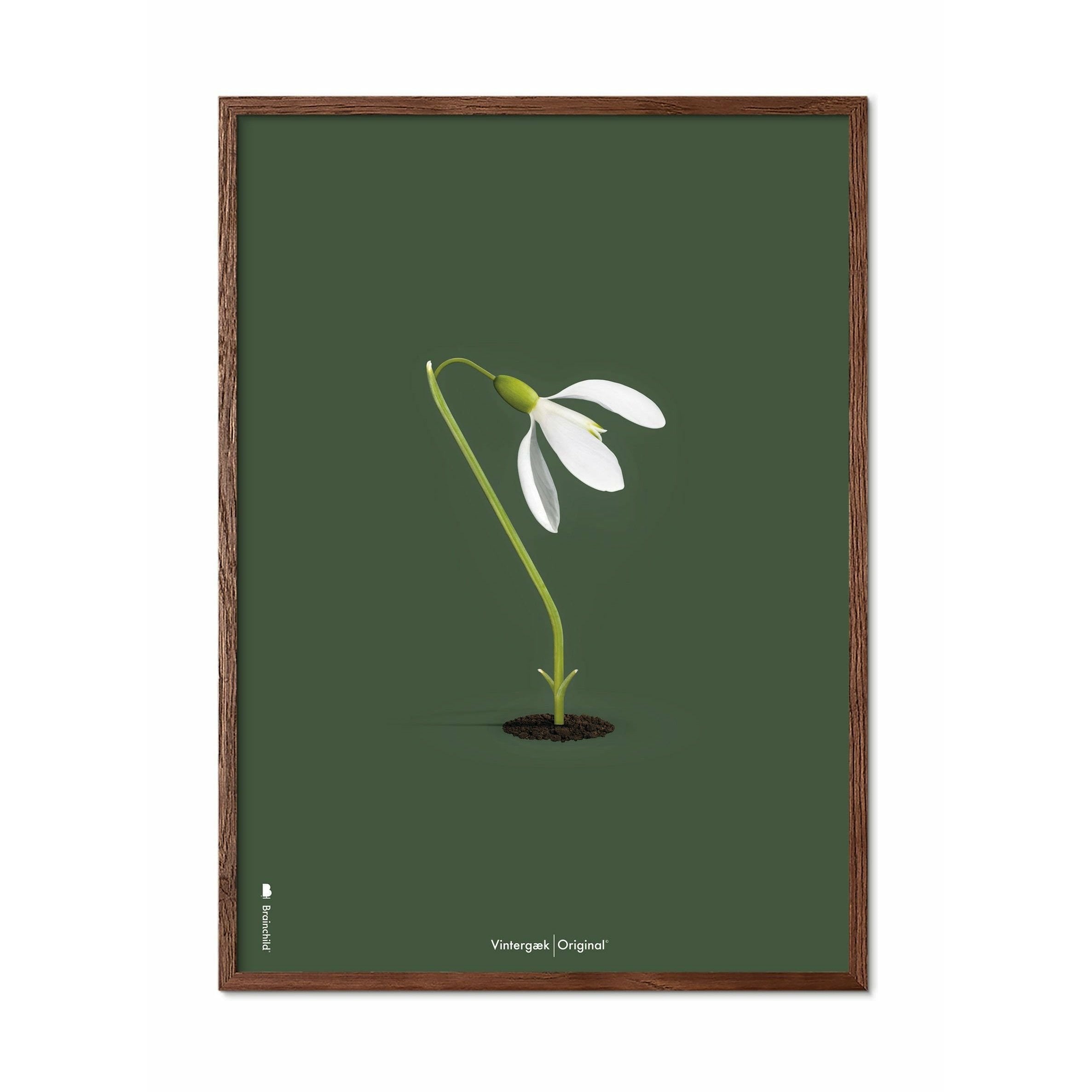 [product_category]-Brainchild Snowdrop Classic Poster, Frame Made Of Dark Wood 30x40 Cm, Green Background-Brainchild-61002-B-BRA-1