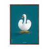  Swan Classic Poster Dark Wood Frame 50x70 Cm Petroleum Blue Background