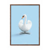  Swan Classic Poster Dark Wood Frame A5 Light Blue Background