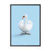  Swan Classic Poster Frame In Black Lacquered Wood 30x40 Cm Light Blue Background