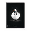  Swan Classic Poster Frame In Black Lacquered Wood 50x70 Cm White/White Background