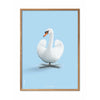  Swan Classic Poster Frame Made Of Light Wood 30x40 Cm Light Blue Background