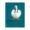  Swan Classic Poster Without Frame 50 X70 Cm Petroleum Blue Background