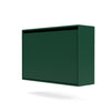 Montana Hide Shoe Cabinet, Pine Green