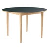 Fdb Møbler C62 E Dining Table With Pull Out Function, Natural/Dark Green Linoleum